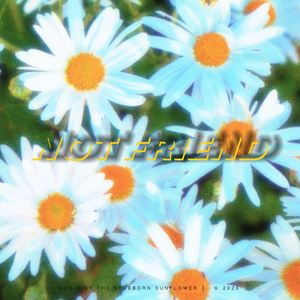 We're not exactly friends (算不上真正的朋友)