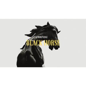 Black Horse (feat. L'Morphine) (Feat)
