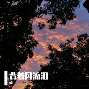 你给的痛无人能医