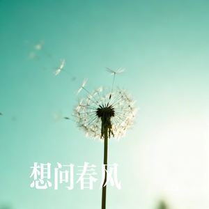 想问春风