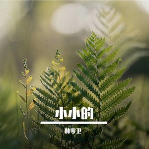 小小的