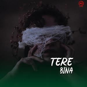 Tere Bina