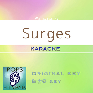 Surges(カラオケ) : Key-6 / wG