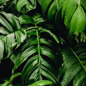 Silence is the most powerful scream