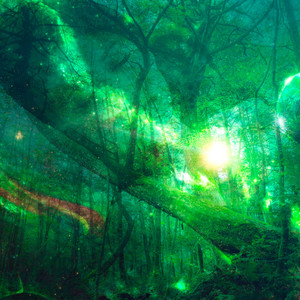 私たちはあなたのことを夢見ています