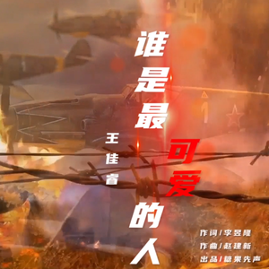 谁是最可爱的人（伴奏）-王佳睿