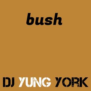 bush