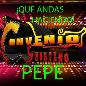QUE ANDAS HACIENDO PEPE