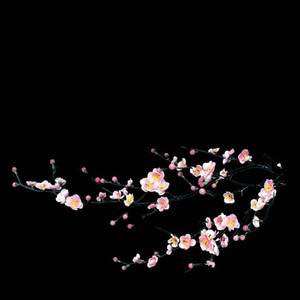 静かな六月（宁静的六月）