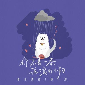 你不是一条流浪的小狗