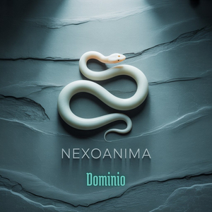Dominio