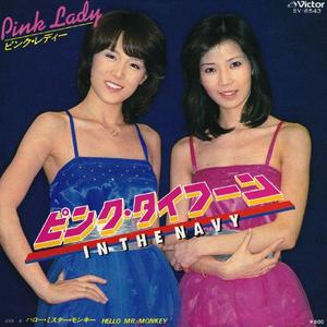 ピンク・タイフーン（In The Navy）