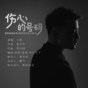 伤心的号码 (DJ87版)