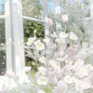 染新霜-写诗一一