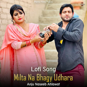 Milta Na Bhagy Udhara (Lofi Remix)