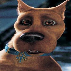 Scoobydoo