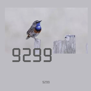 IMG_2022-04-02_11:39:54_0