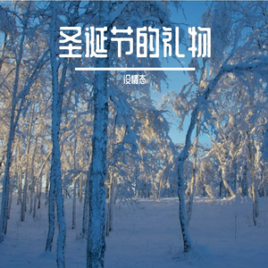 圣诞节的礼物