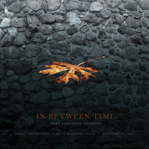 Dark Coast (Arr: for Piano, Cello and Violin by Toby Johnston-Stewart)