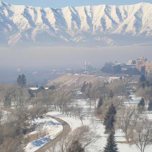 A Proud And Servile Nitwit