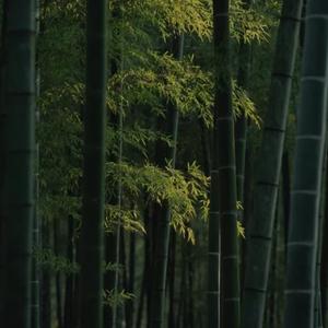 向山行