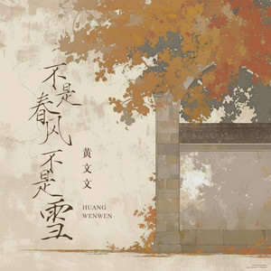 不是春风不是雪 (DJ九零版)