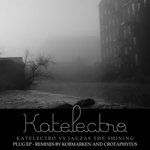 Plug (Crotaphytus Remix)