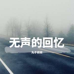 无声的回忆