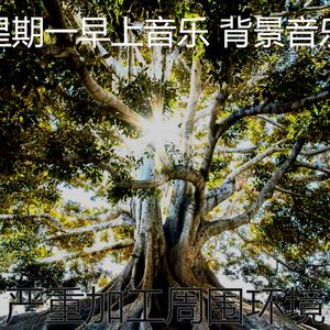 温和星期一梦想