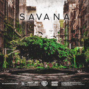 Savana
