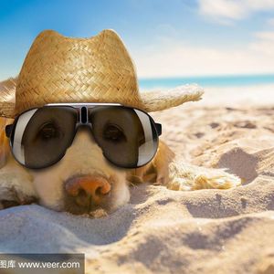 烟雨的流年 (15)