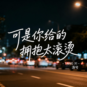 可是你给的拥抱太滚烫
