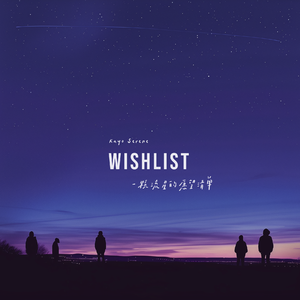 一颗流星的愿望清单