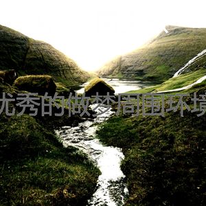 一尘不染睡眠印象数