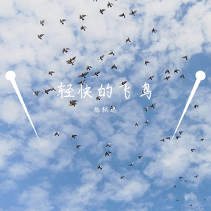 轻快的飞鸟（纯音乐）