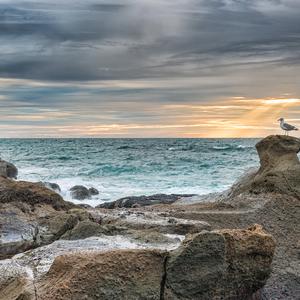 只要你过的比我好