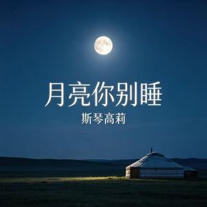 月亮你别睡