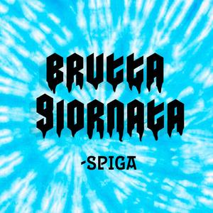 BRUTTA GIORNATA