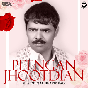 Meri Husn Jawani Sab Rul Gayi