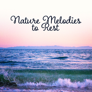 Calm Afternnon