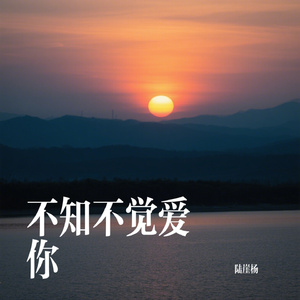 不知不觉爱你