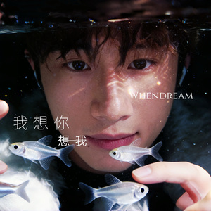 我想你想我