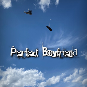Perfect Boyfriend