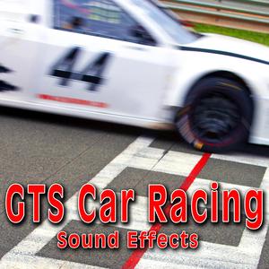 Gts Car Drives into the Pits and Shuts Off