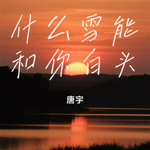 什么雪能和你白头