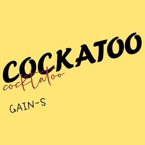 cockatoo（Prod by Yzz Beats&Lv9）