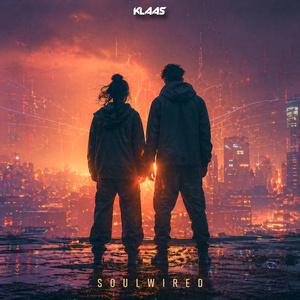 Soulwired