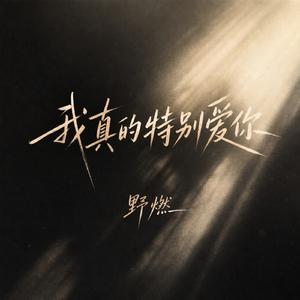 我真的特别爱你