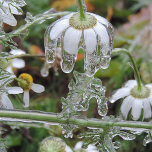 Some Clouds are Destined to Break