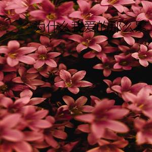 为什么我爱的那么累(DJ伴奏)